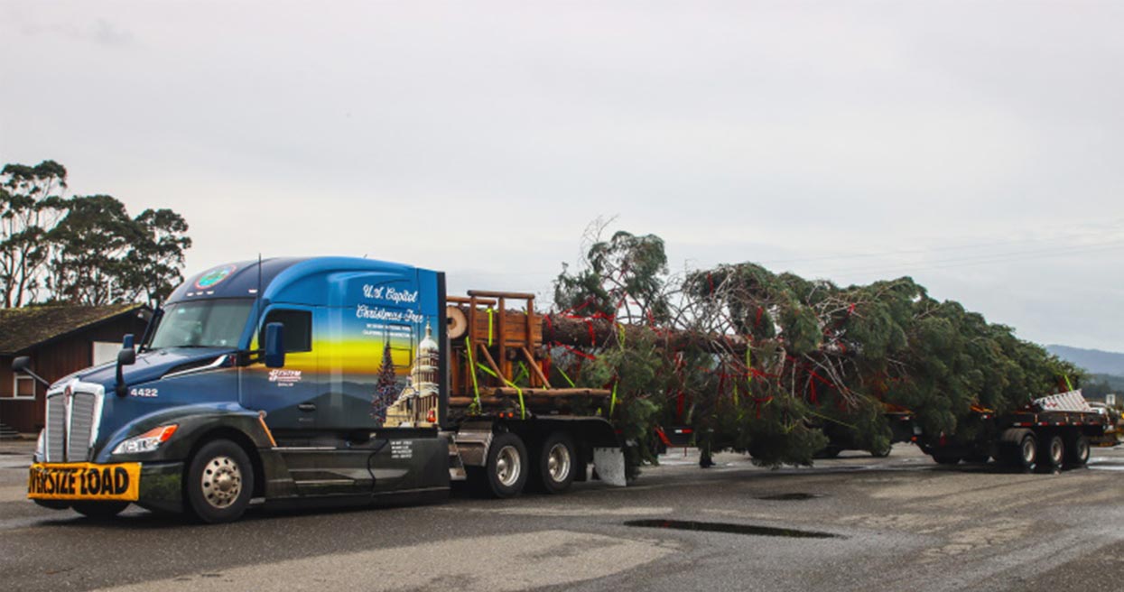 Kenworth T680 Next Generation Begins Transport of U.S. Capitol Christmas Tree After Harvesting in California￼