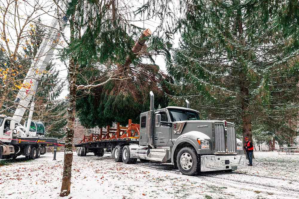 Werner Enterprises Transports the U.S. Capitol Christmas Tree